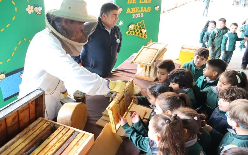 &iexcl;D&iacute;a Mundial de las Abejas: Aprendizaje Dulce y Significativo en Salesianos Linares!